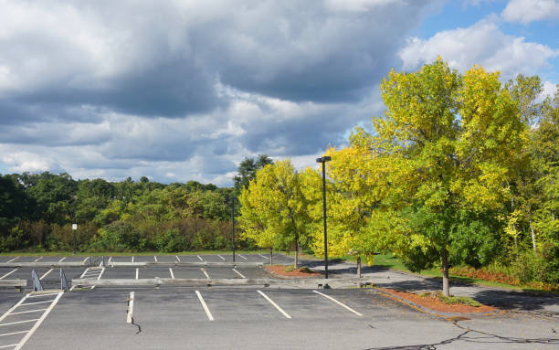 istock autumn yellow tree at the side of empty parking lot 2188658009