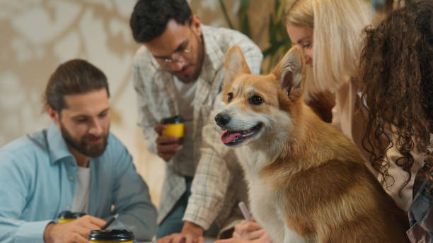 Multiethnic group creative pet dog friendly office coworking diverse team designers colleagues freelance coworkers business men women happy girls guys students friends talk study project drink coffee