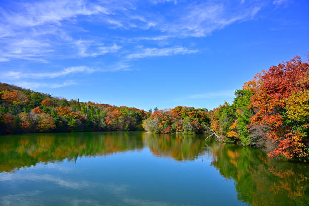 istock A forest pond visited to see the autumn scenery 2188660840