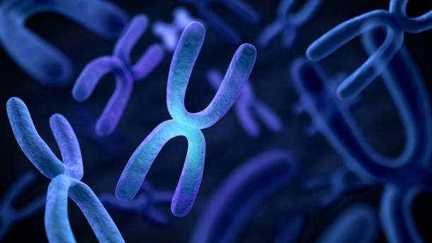 istock Chromosome scientific, Medical science and biotechnology background concept, 3D rendering 2188665870