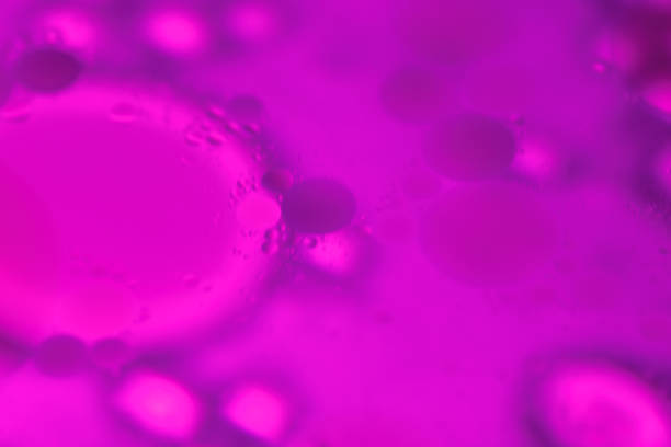 istock Colorful oil bubbles in water creating dynamic abstract art designs. 2188666613