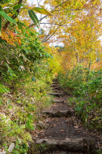 istock Autumn in Hakkoda, Aomori Trail 2188666931