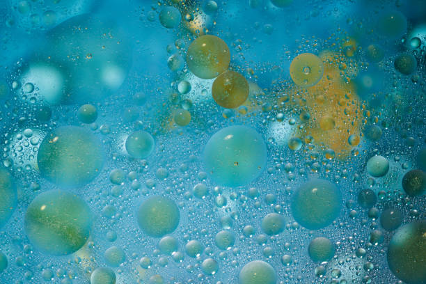 Floating colorful oil bubbles in water create a vibrant abstract art piece. Stunning patterns emerge with light and texture interplay.