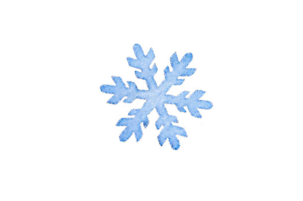 World Snow Day. Flake Appreciation Day. Illustration of a snowflake with texture. Decorative snowflake isolated on white background. Snowflake, winter element for the design of holiday cards. 20