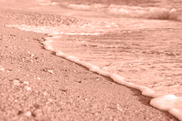 Sea wave on the sand in the evening light. Color of the Year Mocha Mousse.