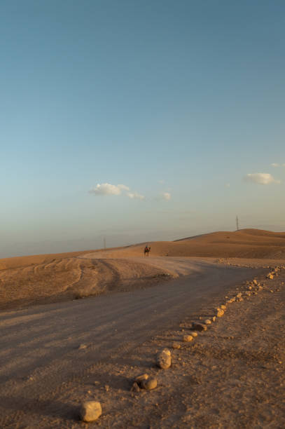Lone camel rider journeys across a desert road, silhouetted against the setting sun