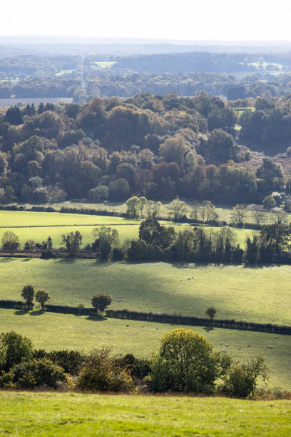 istock Surrey countryside landscape England 2188670119