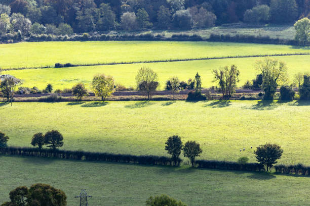 istock Surrey countryside landscape England 2188670162