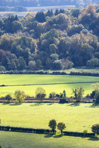 istock Surrey countryside landscape England 2188670170