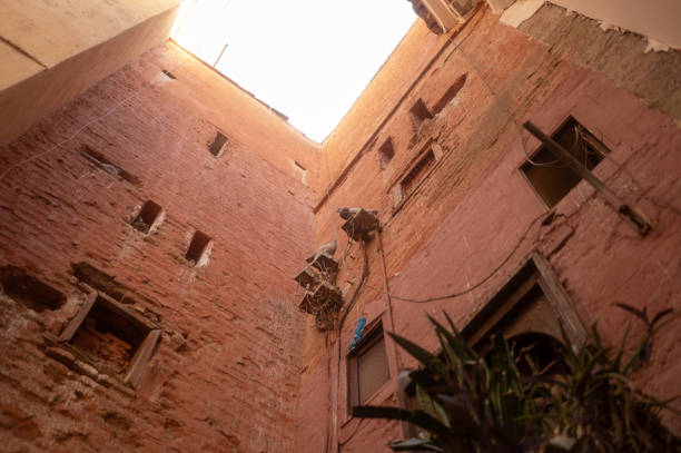 Two pigeons are perching on a derelict building in marrakech, morocco