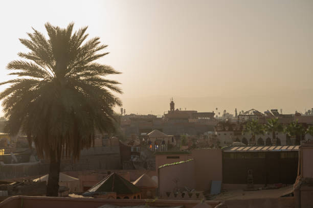 Marrakech cityscape at sunrise with palm tree and traditional moroccan architecture
