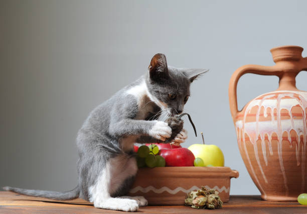 A kitten plays with a stuffed mouse next to fruit in a ceramic bowl on a wooden table