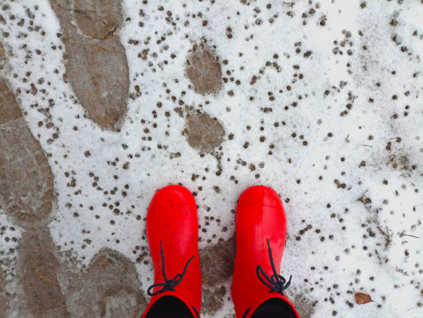 Red flying disc used for disc golf on snow.