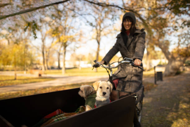 istock Cargo bike ride through city park 2188681568