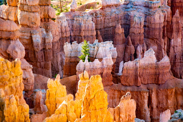 istock beautiful landscape in Bryce Canyon with magnificent Stone formation 2188683867