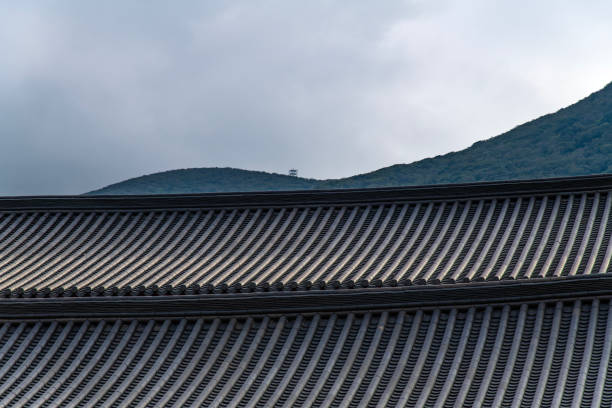 pattern of row and texture