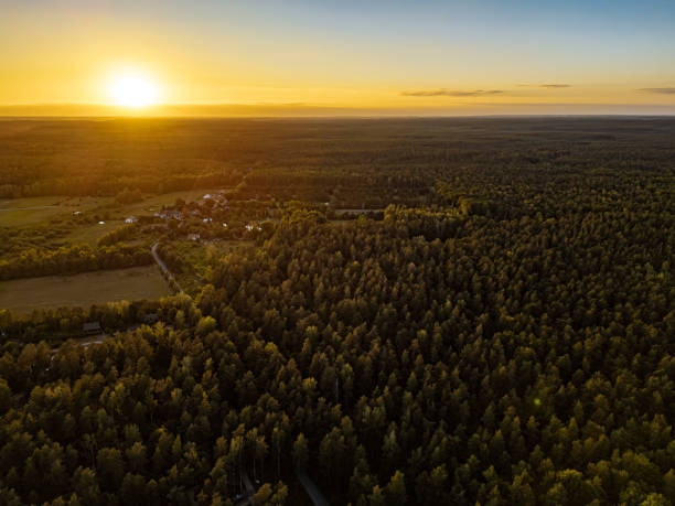 istock A stunning sunset casts vibrant colors over a lush forest, perfect for admiration 2188686449
