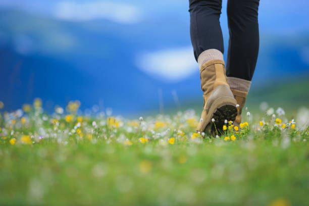 Hiker legs walking on beautiful flowering grassland