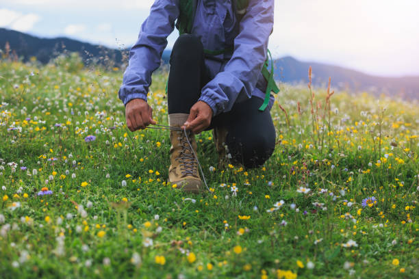 Hike tying shoelace on beautiful flowering grassland