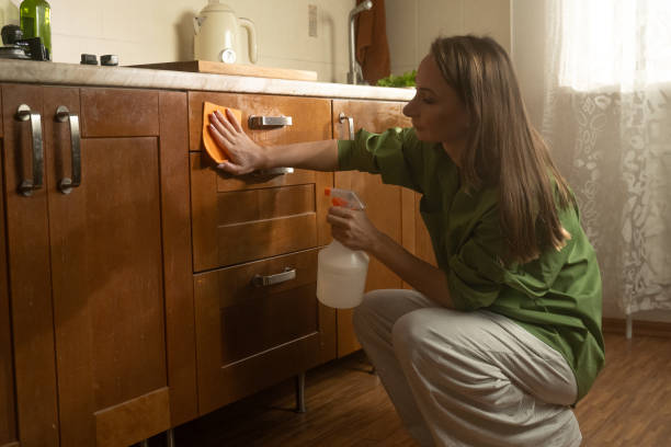 istock Woman washing kitchen cabinets and organizing space in a bright, tidy kitchen 2188687913