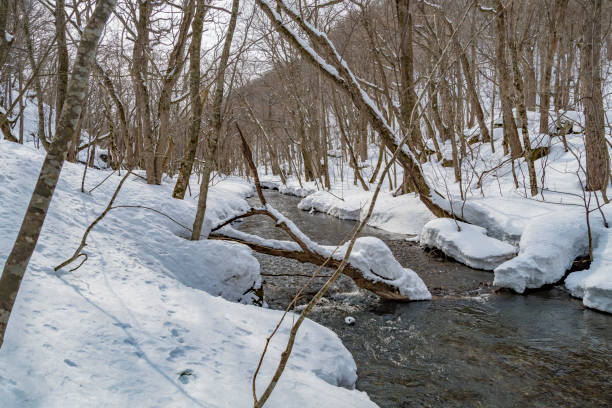 istock Oirase Keiryu Stream in winter, Aomori 2188689741