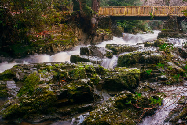 istock A flowing stream in Tollymore Country Park. 2188699237