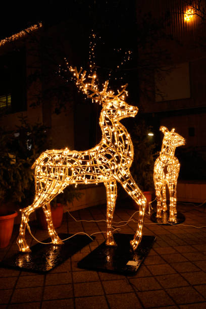 istock Illuminated deer decoration - festive Christmas lights 2188702603