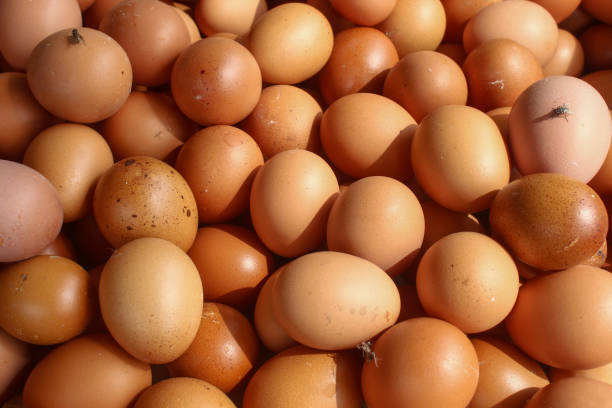 istock Texture and background of organic raw chicken eggs. Chicken eggs cover the frame. 2188703563