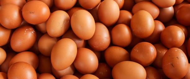 istock Texture and background of organic raw chicken eggs. Chicken eggs cover the frame. 2188703715
