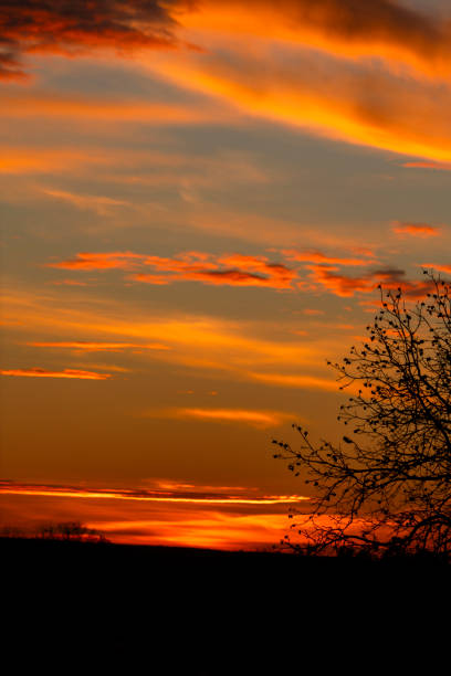 istock Vibrant sunset with colorful clouds and silhouetted tree branches 2188706971