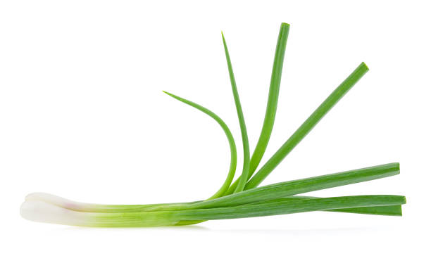 istock green onion isolated on white background 2188708026