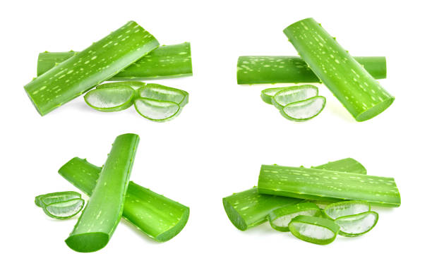 istock Aloe vera isolated on white background 2188713683
