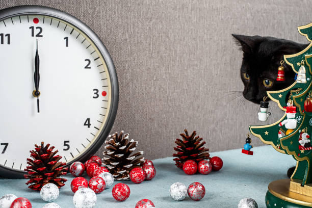 Black kitten sitting next to a Christmas tree toy, Christmas toys and watches.
