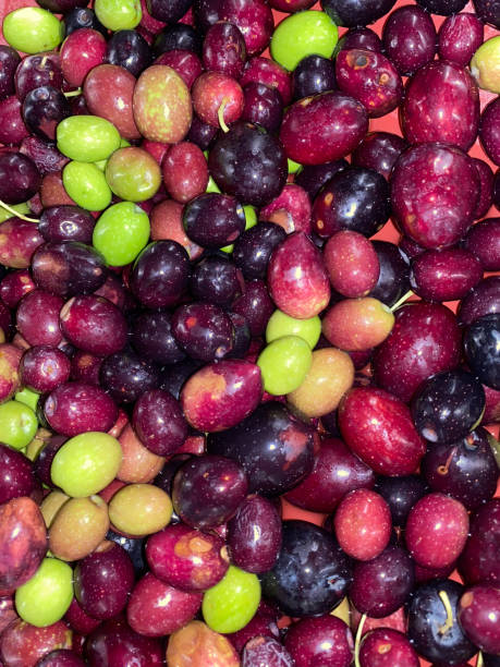 istock collection of natural olives from an olive tree 2188716663