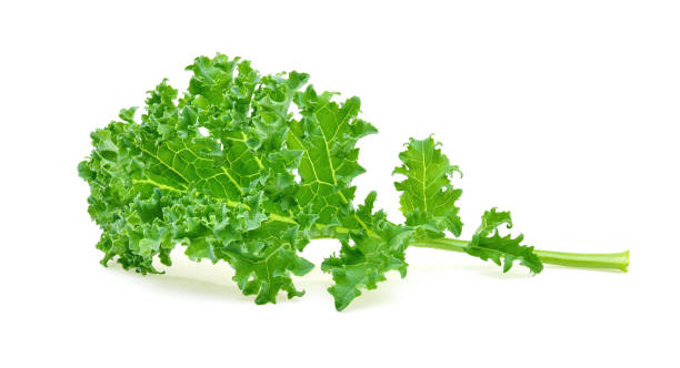 istock Kale Dwarf Blue Curled isolated on white background 2188717520