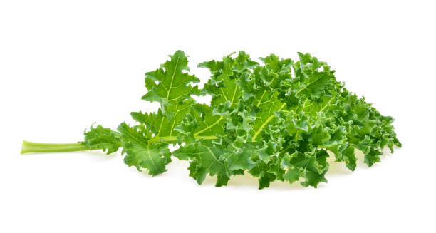 istock Creative layout made of kale on white background 2188717677