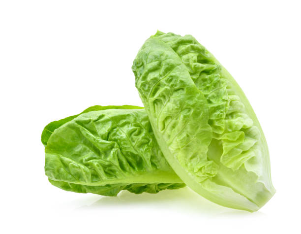 istock fresh baby cos (lettuce) on white background 2188717720