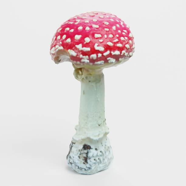istock Realistic 3D Render of Fly Agaric Mushroom 2188719124