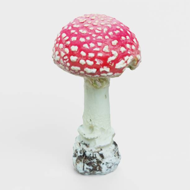 istock Realistic 3D Render of Fly Agaric Mushroom 2188719127