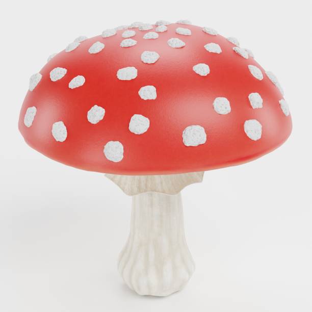 istock Realistic 3D Render of Fly Agaric Mushroom 2188719128