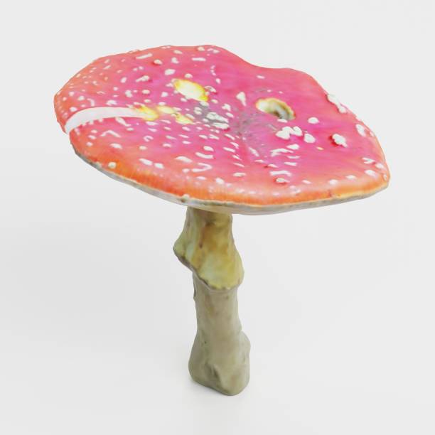 istock Realistic 3D Render of Fly Agaric Mushroom 2188719130