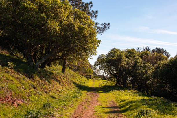 istock Path in the countryside of Gran Canaria 2188722143