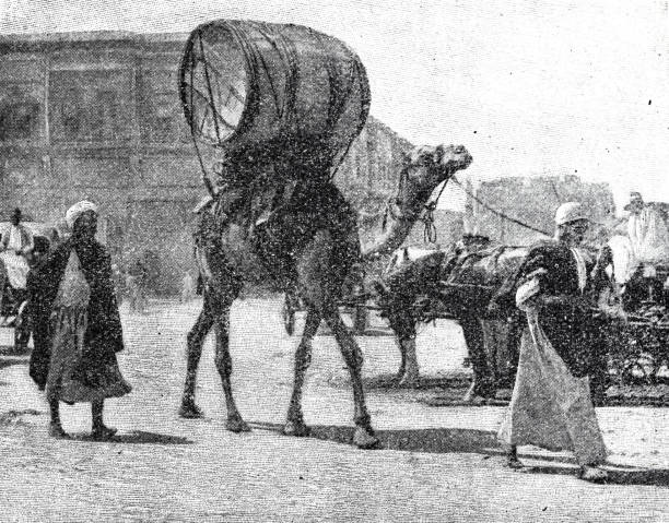 istock Water seller with camel in the streets of Cairo 2188724923