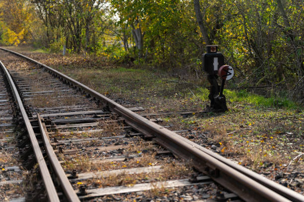 A detailed view of a rusty point indicator beside a railroad track, surrounded by overgrown vegetation in a rural autumn setting. The scene highlights the aging infrastructure and its integration with the natural environment.
