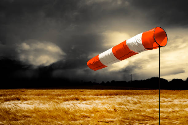 istock A wind vane in front of a stormy sky 2188735593