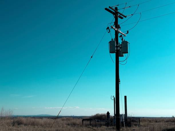 A solitary power line stands tall against a vast blue sky in the quiet wilderness of the open field.
