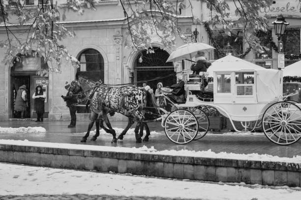 Krakow, Poland - November 30th 2023: A beautifully decorated horse-drawn carriage rolls along a snowy, historic street. The horses’ ornate harnesses and the elegant white carriage evoke an old-world charm. In the background, people bundled up in warm clothing create a festive winter vibe.