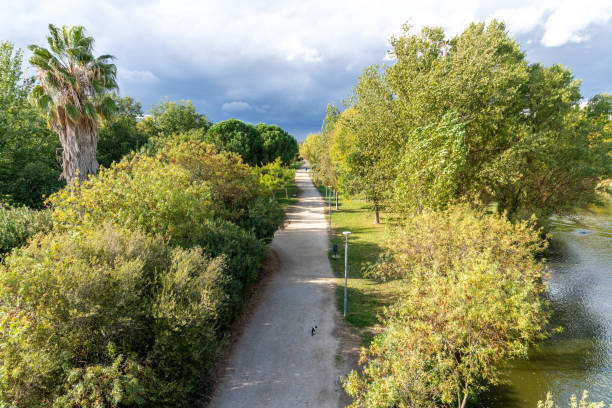 Long narrow path through a park in Merida, lined with tall trees and dense vegetation. Cloudy sky, and a single cat visible on the path.