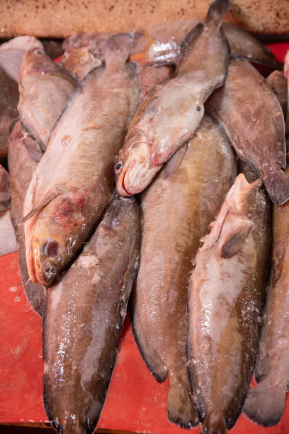 istock Freshly caught fish with shiny bodies on a red surface 2188739046