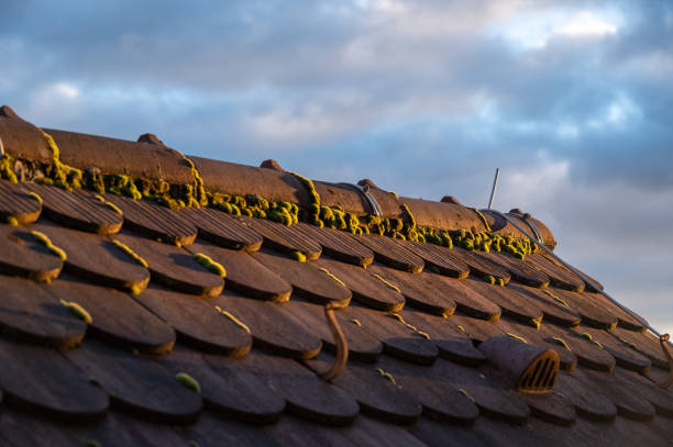 istock Close-up of a roof covered with moss 2188739199